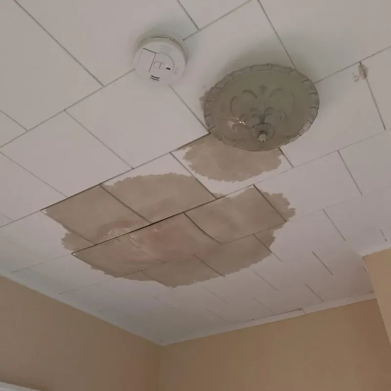 Ceiling Water Damage Repair in Sunderland, MA