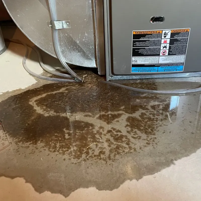 Pipe Burst and Leak Restoration in Sunderland, MA