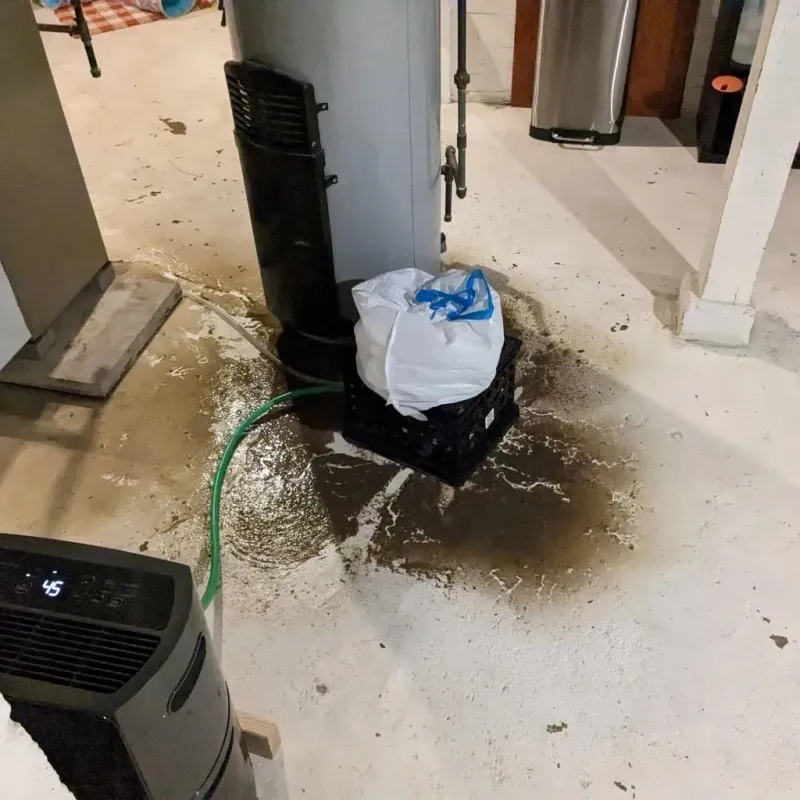 Sewage Backup Cleanup Service in Sunderland, MA